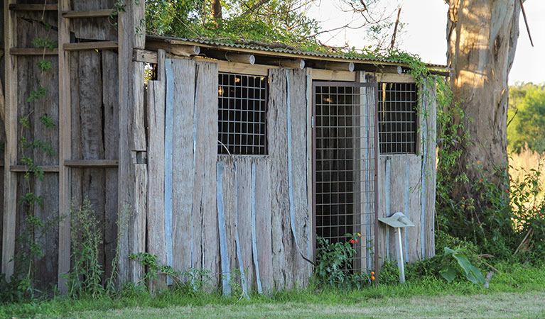 Cattai Homestead and historic farm buildings, Cattai National Park. Photo: John Yurasek