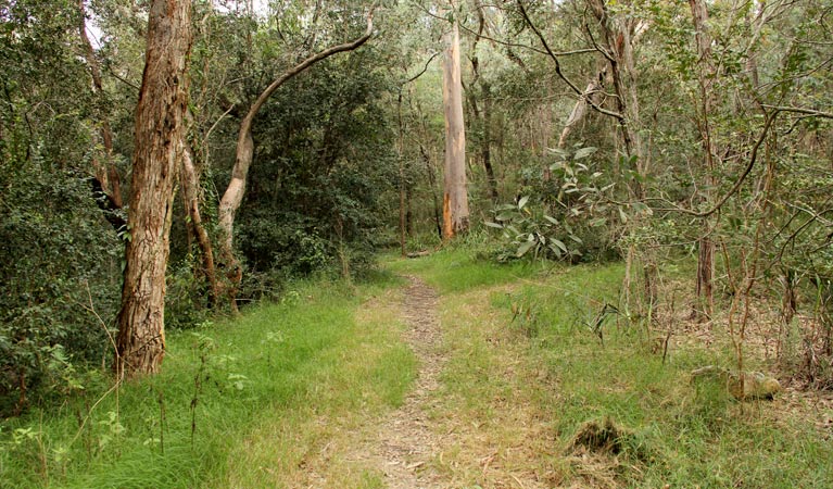 Mitchell Park, Cattai National Park. Photo: John Yurasek