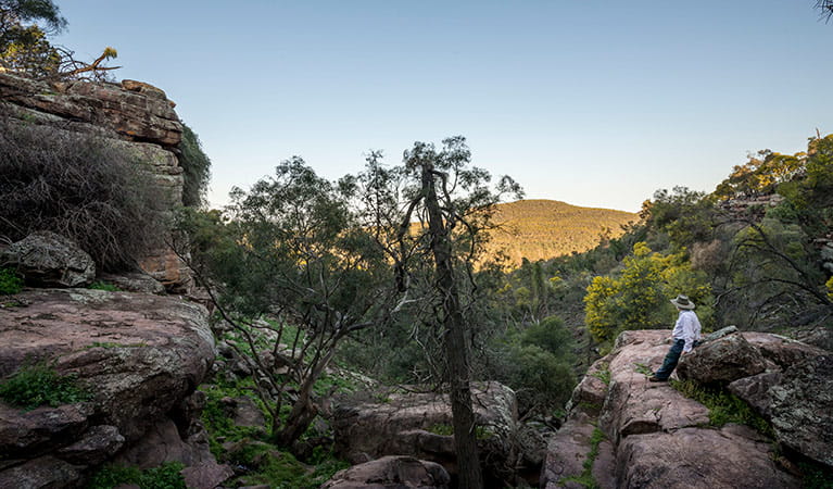 Views across the valley in Cocoparra National Park. Photo: John Spencer