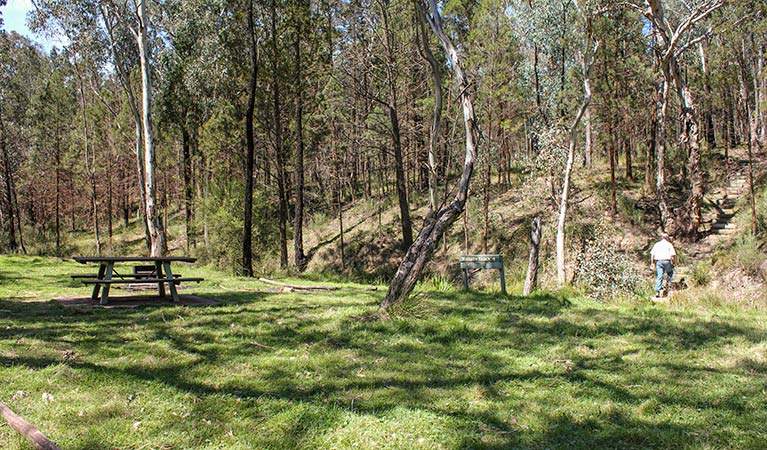 Wallaby Creek picnic area, Conimbla National Park. Photo: Claire Davis