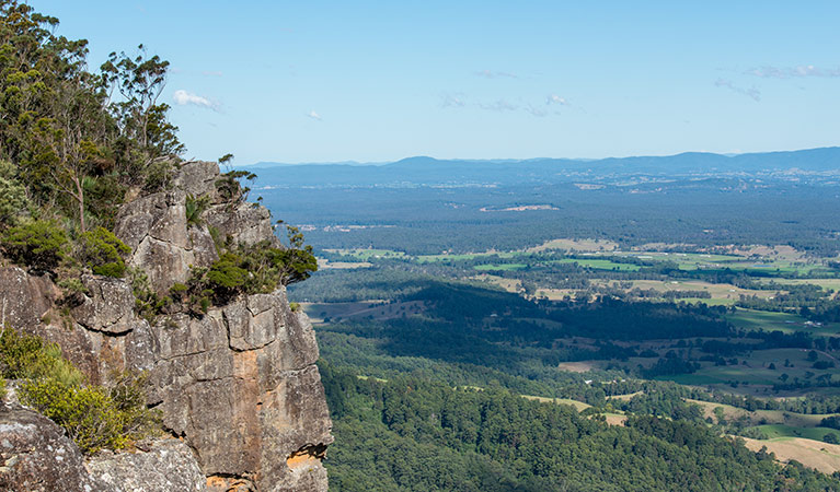 Looking down the plains, Coorabakh National Park. Photo: John Spencer