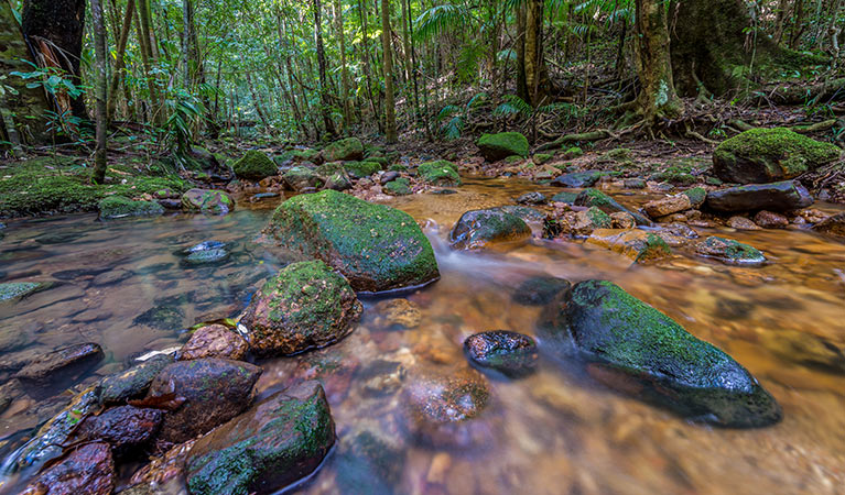 Starrs Creek, Coorabakh National Park. Photo: John Spencer