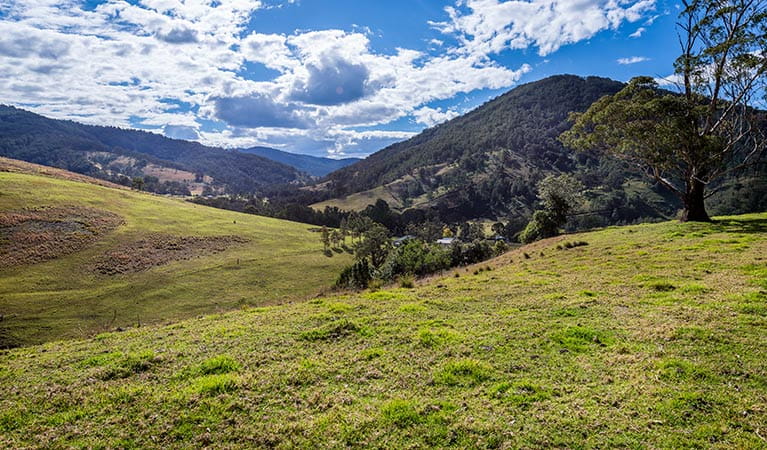 Rolling hills of Copeland Tops State Conservation Area. Photo: John Spencer