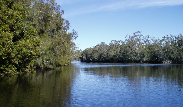 Wandandian Creek, Corramy Regional Park. Photo: D Duffy