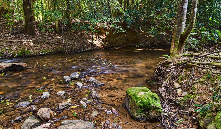 Cottan Bimbang  National Park Learn more NSW National Parks