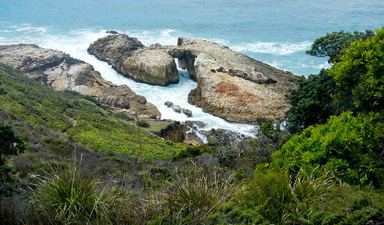 Kylies lookout, Crowdy Bay National Park. Photo: Debby McGerty