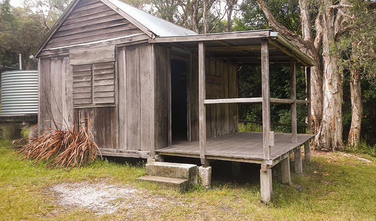 Kylies walk in campground, Crowdy Bay National Park. Photo: Debby McGerty