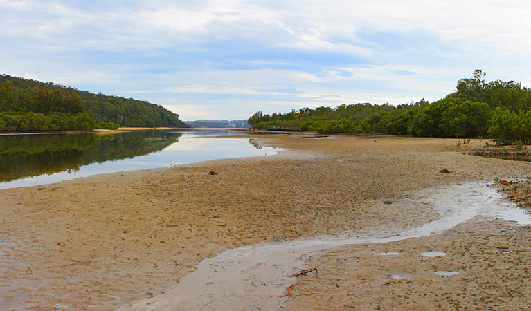 Cullendulla Creek, Cullendulla Creek Nature Reserve. Photo: Mat Makeham