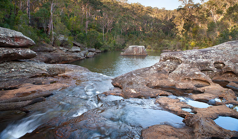 Iluka Creek, Dharawal National Park. Photo: Lucas Boyd