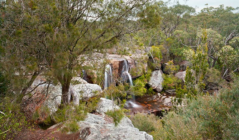 Maddens Falls, Dharawal National Park. Photo: Lucas Boyd