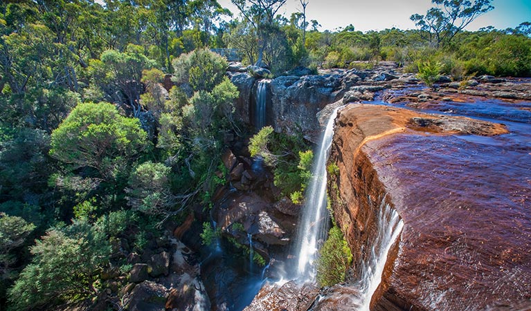 Maddens Falls, Dharawal National Park. Photo: Lucas Boyd