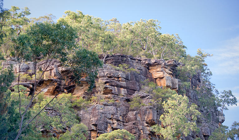 Devines Hill, Dharug National Park. Photo: Nick Cubbin