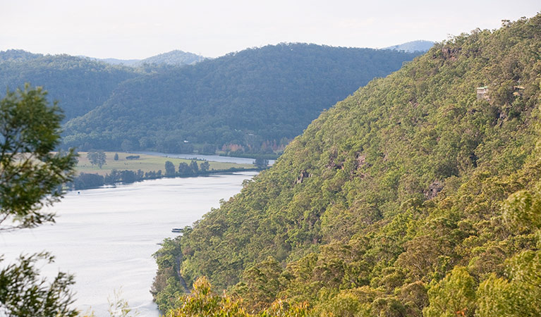 Devines Hill loop, Dharug National Park. Photo: Nick Cubbin