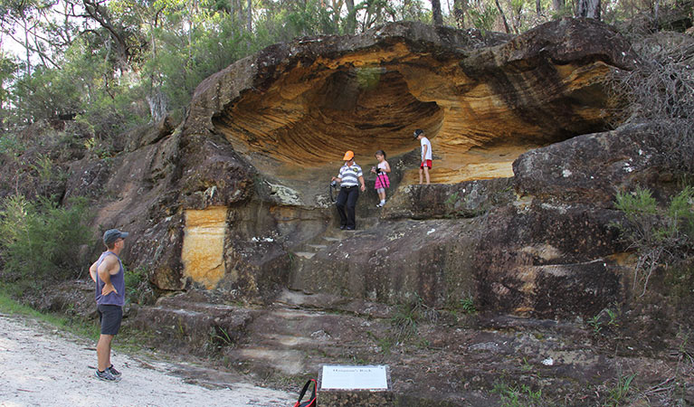 The Old Great North Road walk, Dharug National Park. Photo: John Yurasek