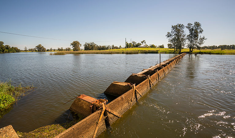 Historic weir in Everlasting Swamp National Park. Photo: John Spencer/OEH