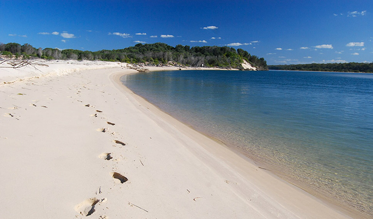 Warrell Creek, Gaagal Wanggaan National Park. Photo: L Orel