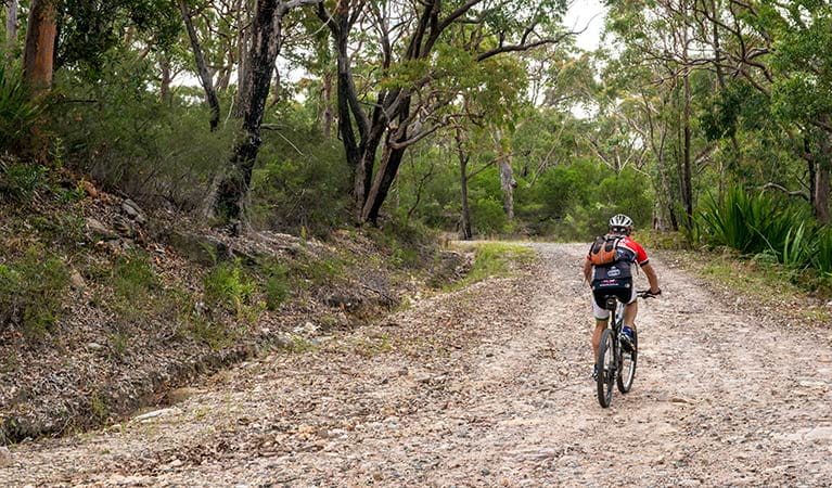 Cyclist on Cawleys Road, Garawarra State Conservation Area. Photo: John Spencer