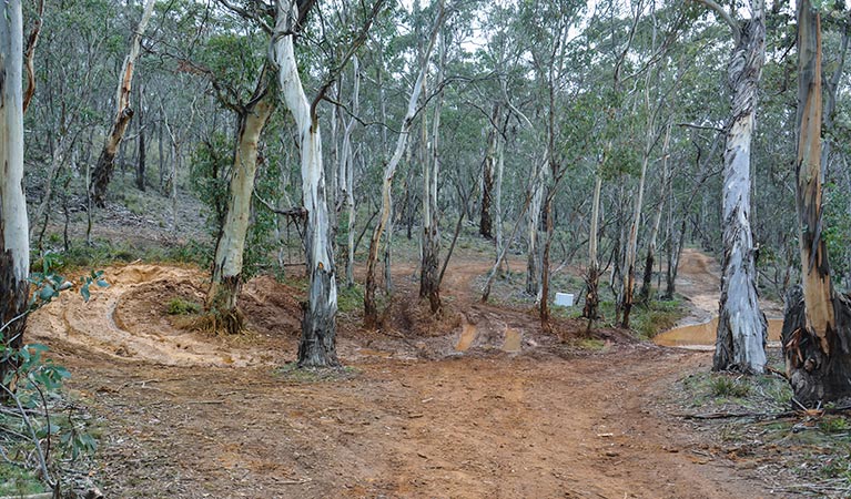 4WD trail in Ben Bullen, Garden of Stone National Park. Photo: David Noble