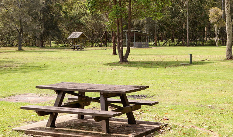 Davidson picnic area, Garigal National Park. Photo: Shaun Sursok