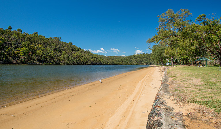 Burranwang Beach picnic area, Georges River National Park. Photo: John Spencer