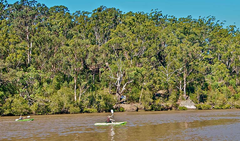 Kayaking on Georges River National Park. Photo: John Spencer