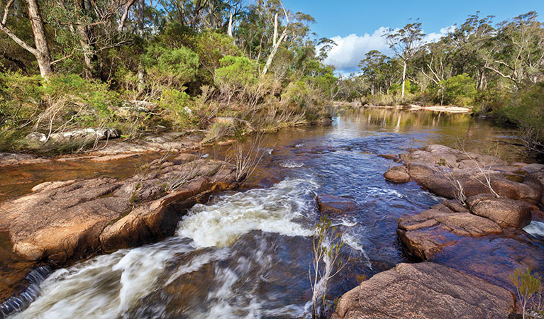 Little Dandahra Creek, Gilbraltar Range National Park. Photo: Rob Cleary