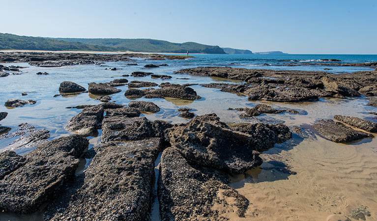 Burwood trail, Glenrock Conservation Area. Photo: John Spencer