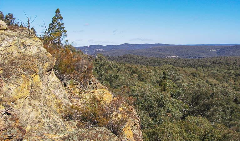 Views from Lees Pinch lookout, Goulburn River National Park. Photo: OEH