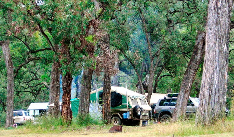 Camping in Goulburn River National Park. Photo: OEH