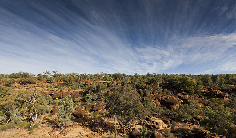 Gorge in Gundabooka National Park. Photo: David Finnegan