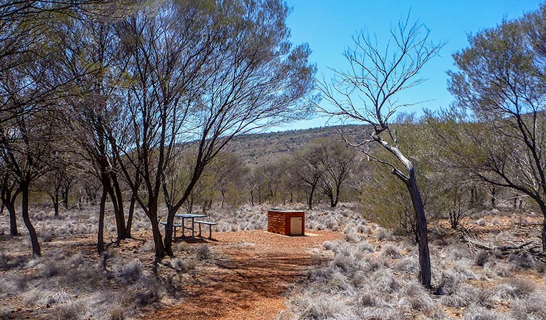 Bennetts Gorge picnic area, Gundabooka National Park. Photo: John Good