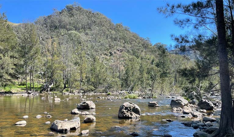 Wollondilly River in Little Forest West Area, Guula Ngurra National Park. Photo: Andrew Boleyn &copy; DPE