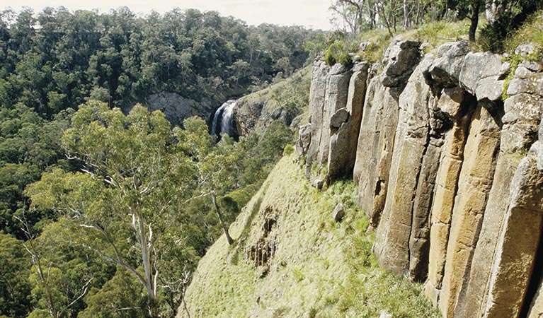 Views towards Ebor Falls, Guy Fawkes River National Park. Photo: Tony Karacsonyi