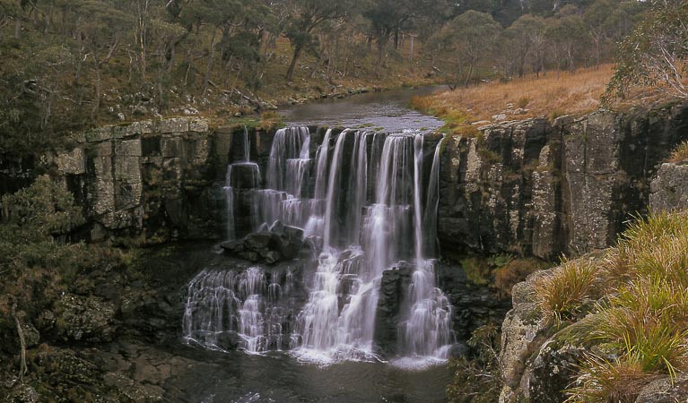 Ebor Falls, Guy Fawkes River National Park. Photo: Jeremy Little