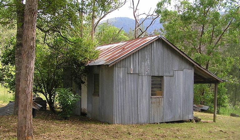 Adams Hut, Guy Fawkes River National Park: Photo: S Leathers