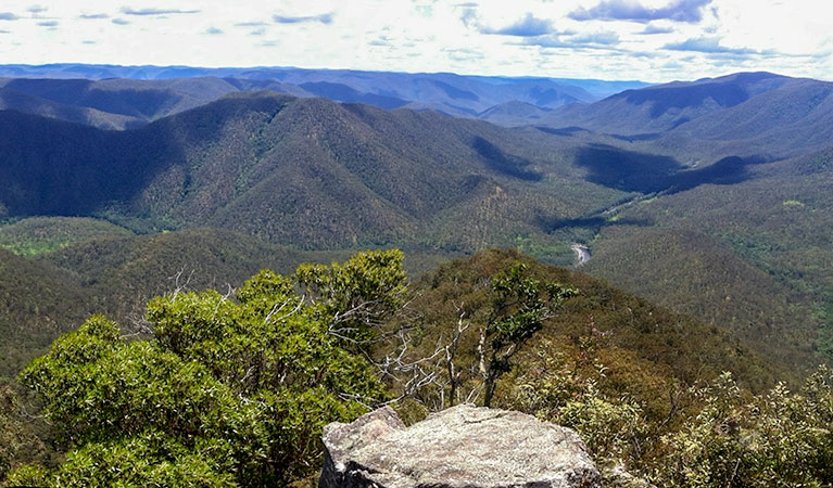 Views across the escarpment, Guy Fawkes River National Park. Photo: G James