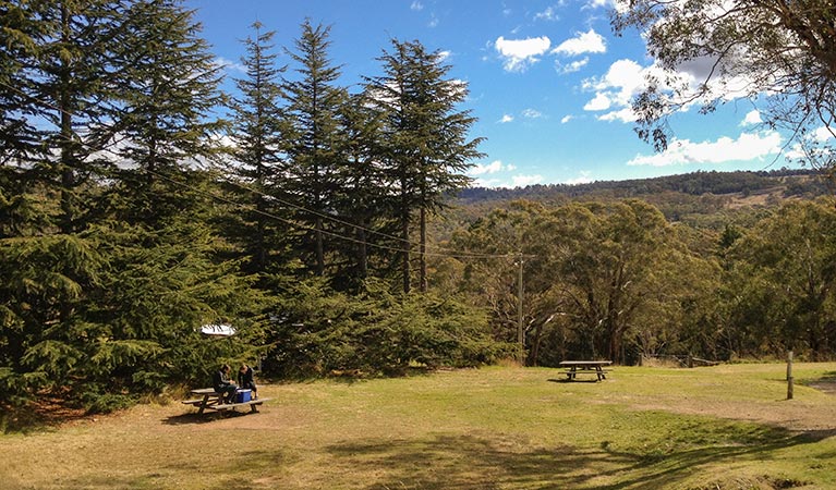 Picnic area in Hartley Historic Site. Photo: Christina Bullivant