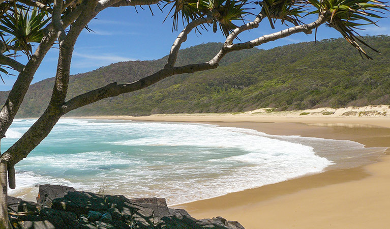 Gap Beach, Hat Head National Park. Photo: Barbara Webster