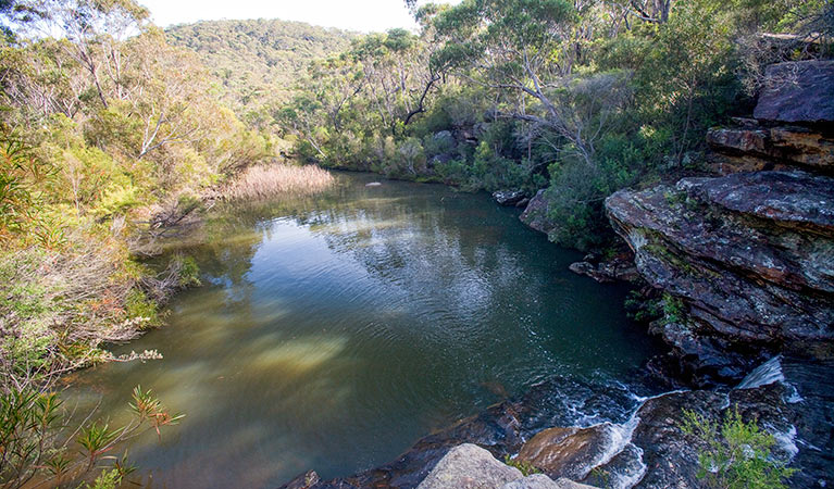 Kingfisher pool, Heathcote National Park. Photo: Nick Cubbin