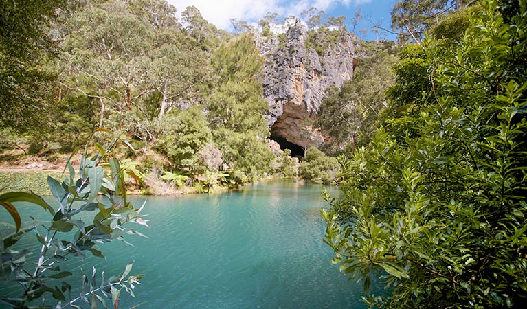 Blue Lake track, Jenolan Karst Conservation Reserve. Photo: Jenolan Caves Trust