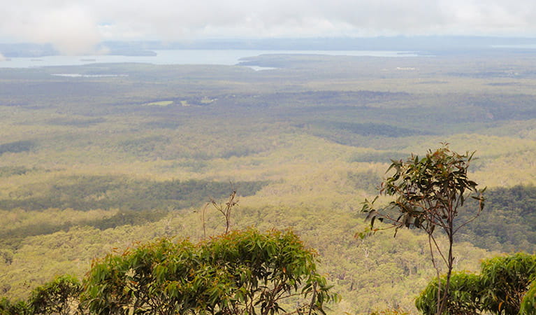 Jerrawangala lookout, Jerrawangala National Park. Photo: R Phelps