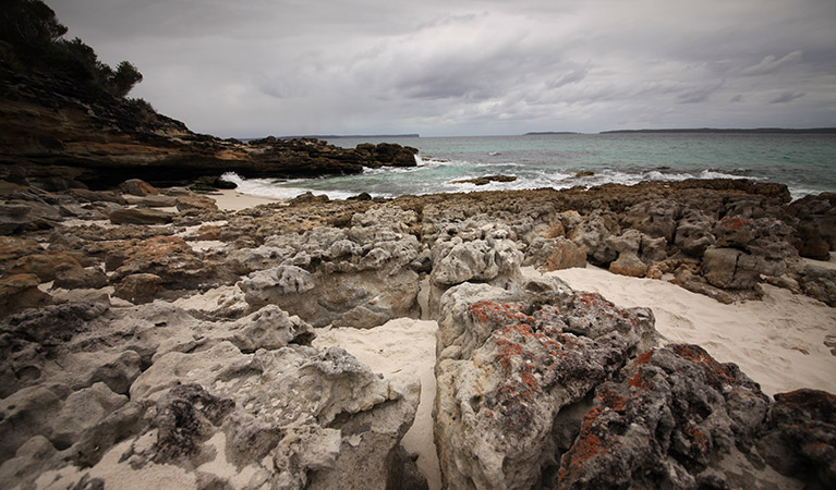 White Sands walk, Jervis Bay National Park. Photo: Andrew Richards