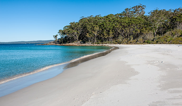 Greenfields Beach, Jervis Bay National Park. Photo: Michael Van Ewijk