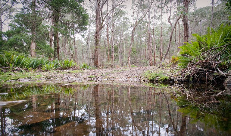 Mount Emporer loop, Kanangra-Boyd National Park. Photo: Nick Cubbin