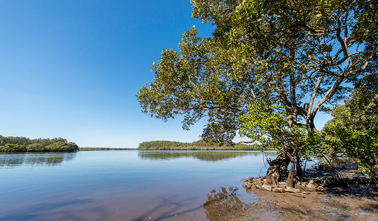 Karuah River, Karuah Nature Reserve. Photo: John Spencer