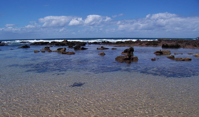  Rockpools in Kattang Nature Reserve. Photo: M Smith