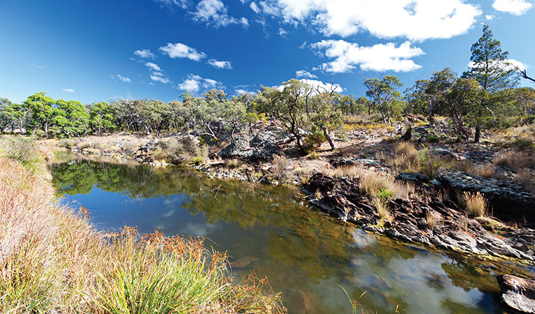 Kings Plain Creek, Kings Plains National Park. Photo: Rob Cleary