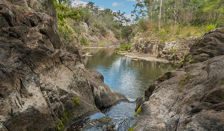 Gorge walking track, Koreelah National Park. Photo: David Young