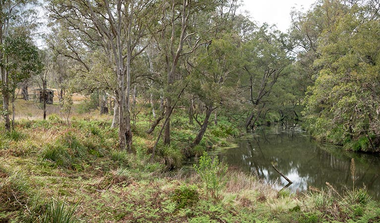 Koreelah Creek, Koreelah National Park. Photo: David Young