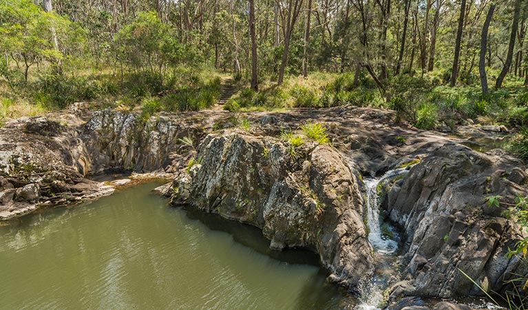 Gorge walking track, Koreelah National Park. Photo: David Young